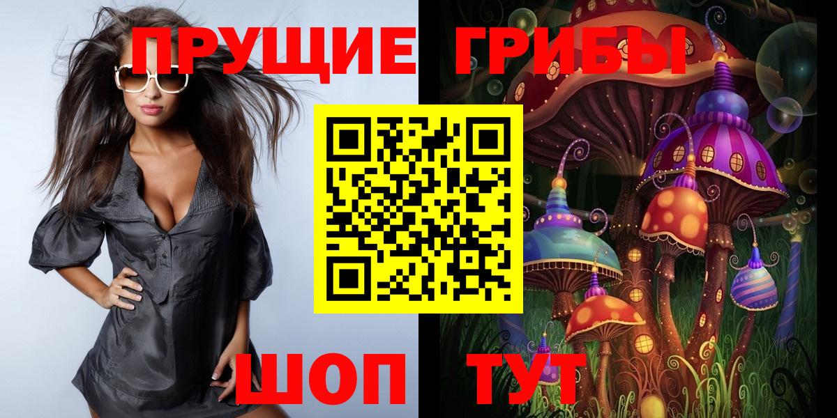 Псилоцибиновые грибы мицелий  Вход с VPN  Алексеевка 
