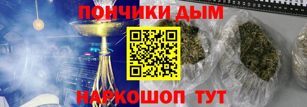 Бошки Шишки сатива Алексеевка